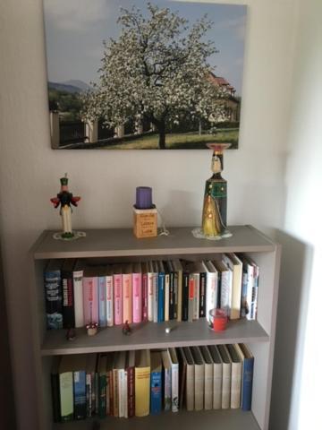 Ferienwohnung Graupner Schwarzenberg  Dış mekan fotoğraf